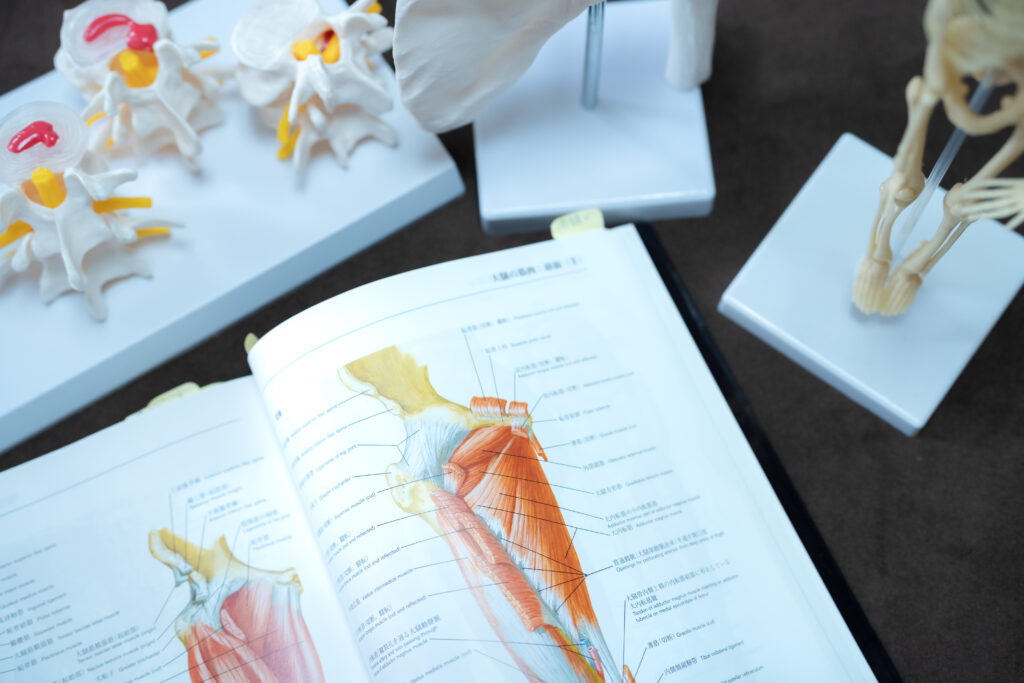 姿勢治療院ケイポス | 体の歪みや痛み・シビレの改善を図る整体院（沖縄南部南城市）