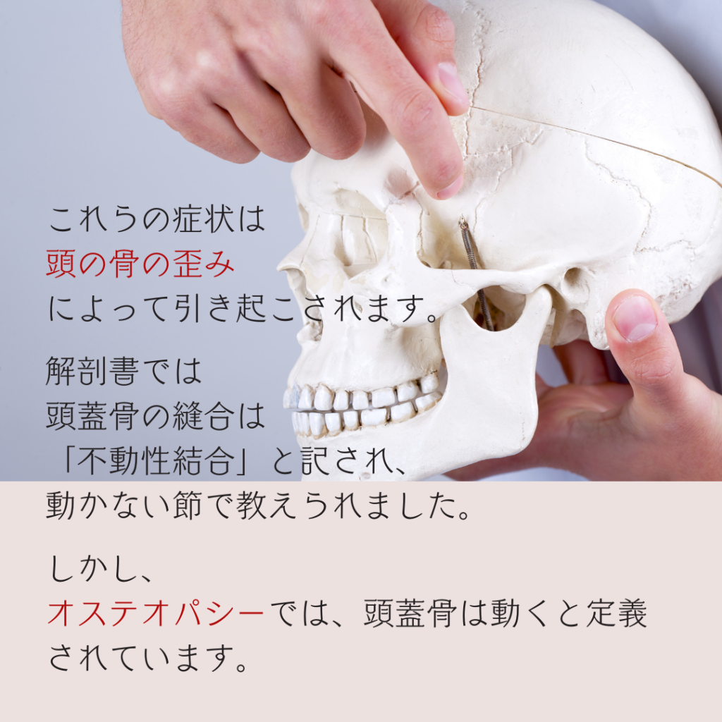 難聴、耳鳴り、めまい、メニエール病、オステオパシー、沖縄南城市整体院、女性理学療法士、体の不調、姿勢、病気の改善、痛みの原因、根本的な原因、自然治癒力、恒常性